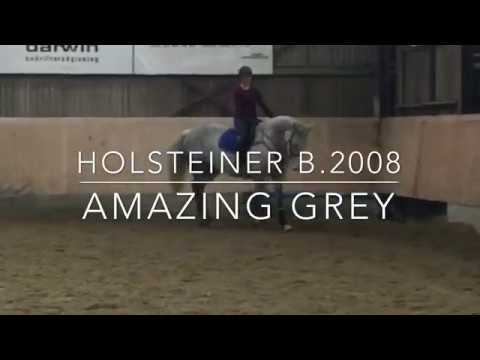 Prøveridning "Amazing Grey" Dag 1
