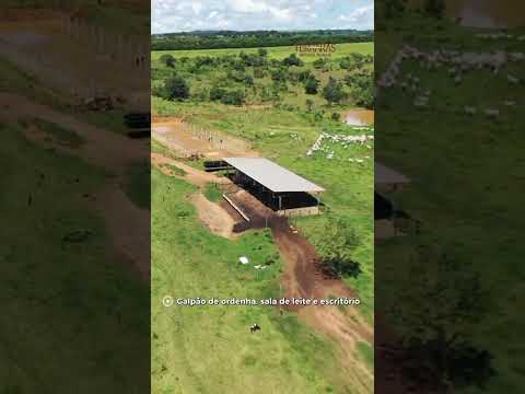 FAZENDA À VENDA EM GOIÁS📍 Município: Jandaia – GO Área Total167,97 hectares(34,7 alqueires)