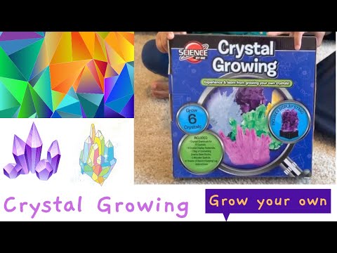 Crystal Growing | Grow you own crystals | Science experiment for kids | Educational videos for kids