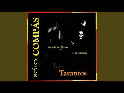 Tarantos con guitarra 117 por minuto