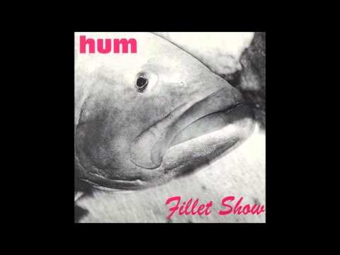 download lagu mp3 mp4 Hum Fillet Show, download mp3 Hum Fillet Show free downloadn, video klip Hum Fillet Show