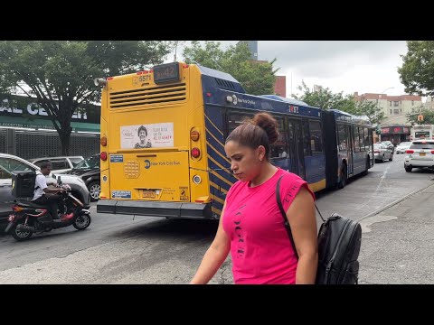 Bx40 Bus