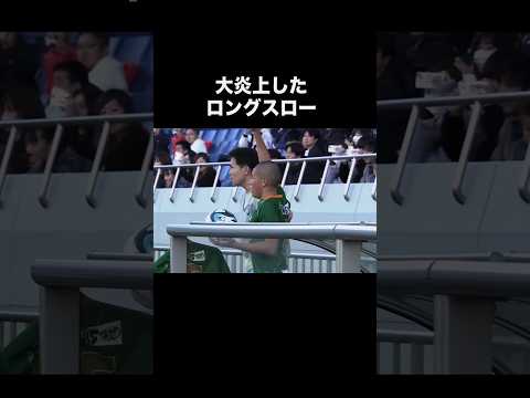 スローイまたはアラビアン グレイハウンド