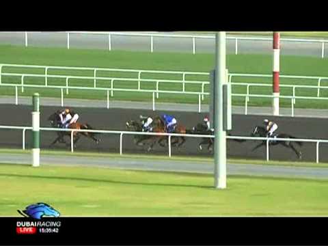 06.01.2012 Meydan (Dubai UAE) 2.Race UAE 1000 Guineas Trial - Conditions Race 1.400 m