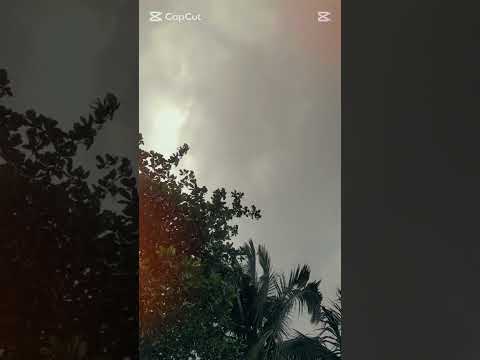Feel this Weather 💝🥰💝 #viralvideo #nature #video #SuhaimaNaharOrni