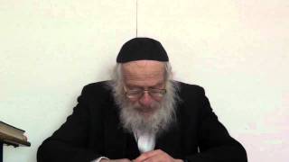 פרשת נח - עשיית התיבה