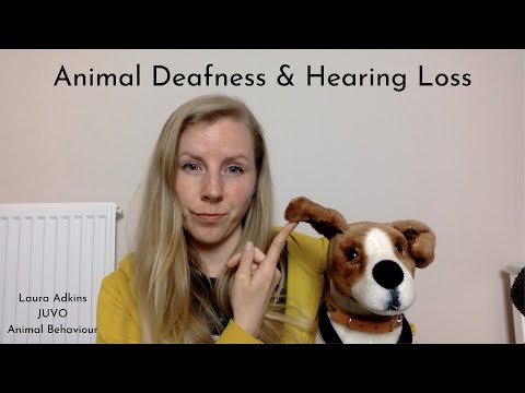 Animal Deafness & Hearing Loss