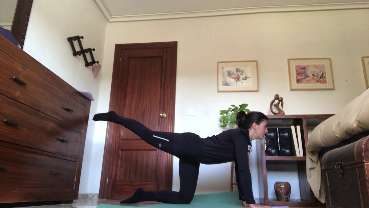 Abdomen y espalda (Sesión 42)
