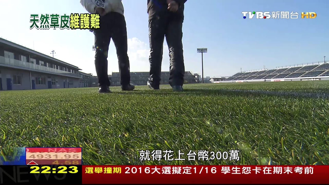 天然草vs.人工草 日專家:人工草CP值大勝
