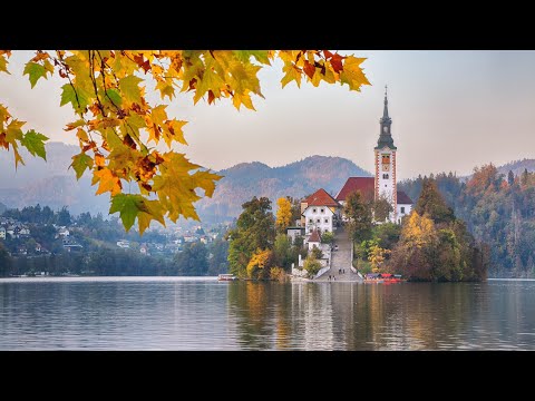 Enchanting Autumn Forests with Beautiful Piano Music🍂4K Autumn Ambience & Fall Foliage
