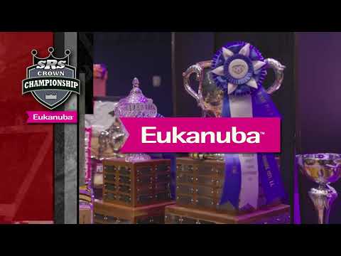 SUPER RETRIEVER SERIES CROWN CHAMPIONSHIP, Shreveport, LA     OPEN Division Part 1