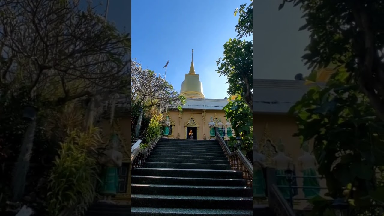 YouTube Short thumbnail