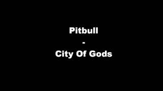 Pitbull -City of Gods ( Parapapapapapa )
