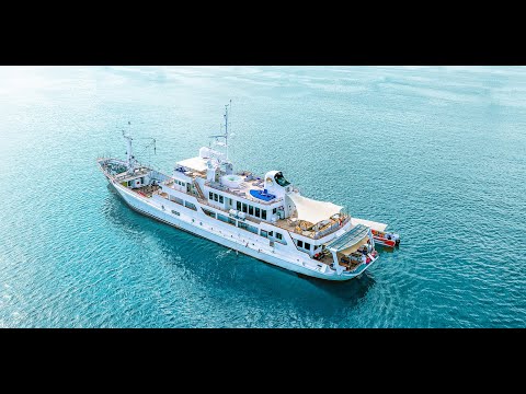 TRANS LUXURY YACHT - Destinations Komodo Islands, Banda Island & Raja Ampat - Indonesia.