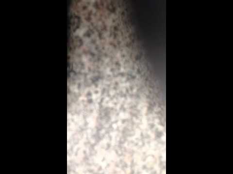 Nicki minaj vs rihanna where have STARSHIPS been.......LOCK