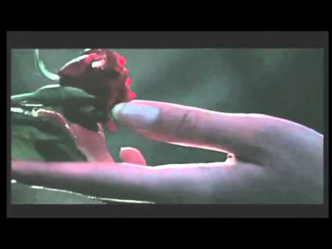 Meral Sezgin   Ben Sevdim mi Vazgeçemem (Official)