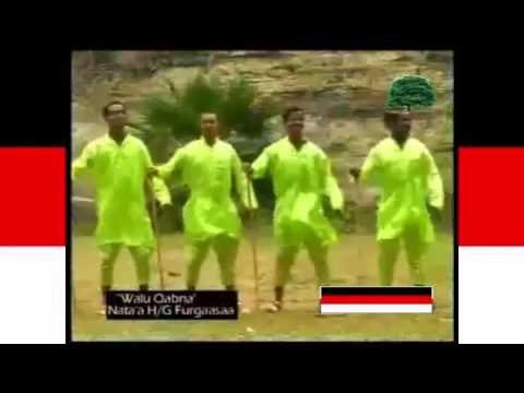 Nata'a H G Furgaasaa