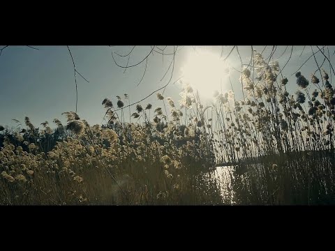 Seha Eks & Rice Master Yen - Frau Holle