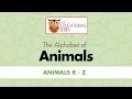 The Alphabet Of Animals R Z
