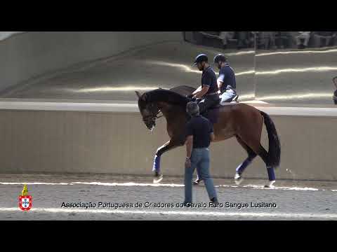 6 Gilberto Filipe com Nuestro da Ferraria