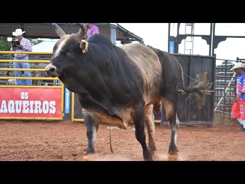 (Radar CRP 2023 - SÁBADO / MELHORES MONTARIAS)