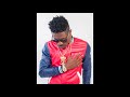 Shatta Wale - Freedom (Audio Slide)