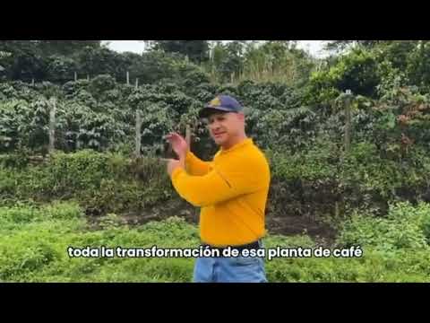 Vereda Buenos Aires-Timbio Cauca se fortalece gracias al apoyo de la FNC.