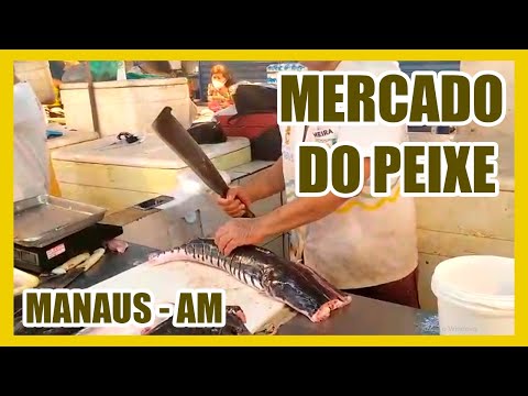 MERCADO DO PEIXE / MANAUS MODERNA