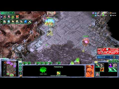 STARBOW - PsY vs Wonkman - ZvP