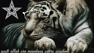 Download lagu 30detik lir-ilir macan putih story wa mp3