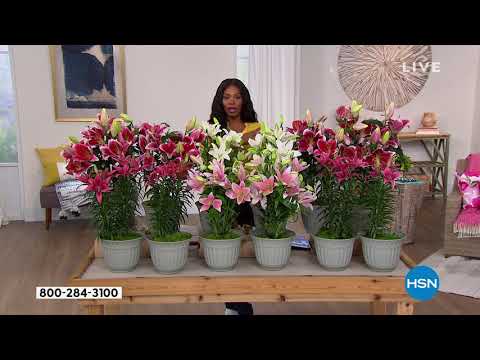 HSN | Your Best Backyard 05.07.2021 - 04 PM