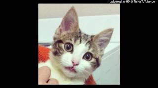 Madden & Harris - A simple song (1975)