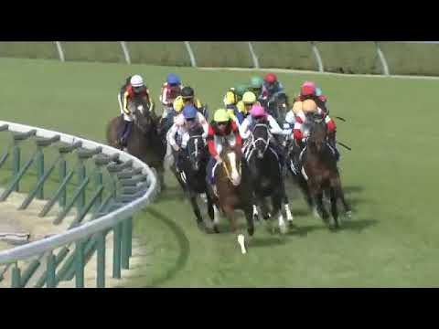 2023.04.02 Osaka Hai (JPN) - Jack d'Or