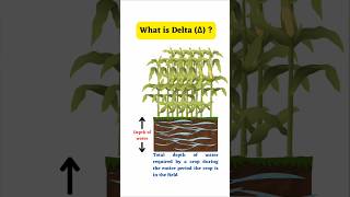 What is Delta(∆) in irrigation? #irrigation #irrigationterm