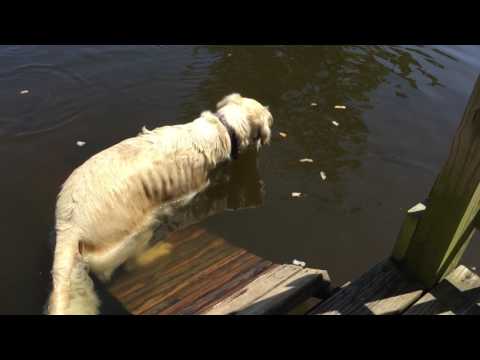 050716 Rani Fishing 7938 to 7363