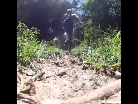 Juquitiba a cidade da Corrida das Trilhas