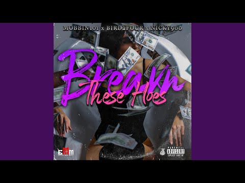 Breakn These Hoes (feat. Nicky900 & Bird2Four)