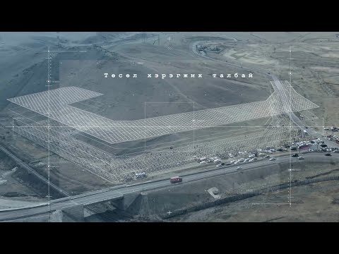 Treelings гэж юу вэ?