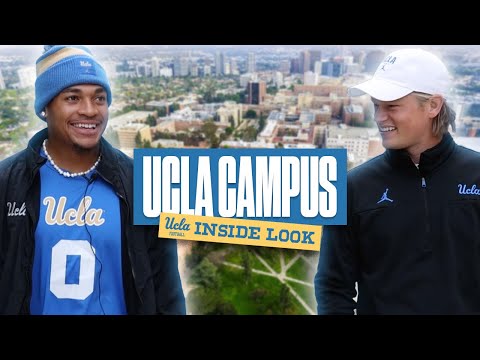 Ucla Chart