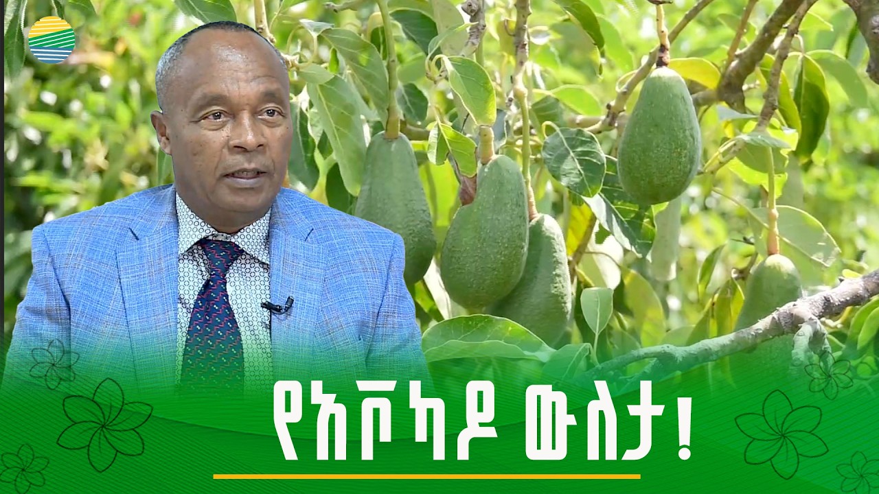 “ለአርሶ አደሮች የተሰጠ ምርጫ”