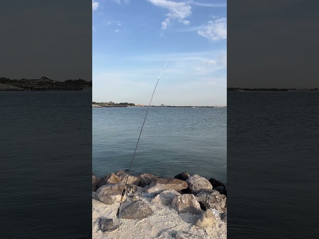 Vídeo relacionado con Fishing for Life: Insights for Living from a Jerk on the End of a Line