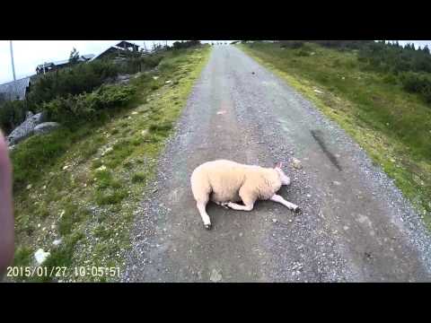 2015 08 09 Tura a kozeli legmagasabb ponthoz10