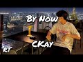 By Now - CKay (Lyrics)