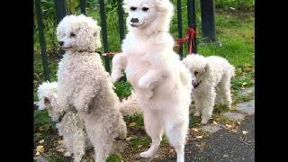 Take Your Tomorrow (and Give Me Today) -- Geoff Muldaur