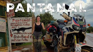 The Pantanal (S3:E46)