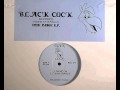 Black Cock Shine On