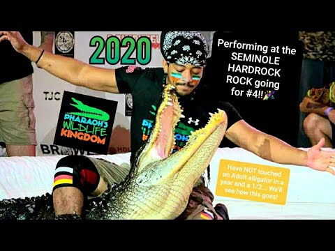 🐊⚠️DANGEROUS ALLIGATORS!PHARAOH GAYLES, F.A.W.C. 2020 ALLIGATOR SHOW!!! 4X CHAMPION!! #4🏆🏆🏆🏆