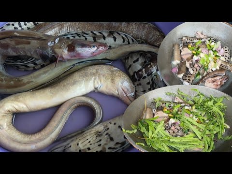 Paksiw na Panagitan/Moray Eel sa Dahon Ng Sampalok