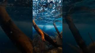 Beautiful river in Alaska Nature | nature whatsapp status video| travel #shorts