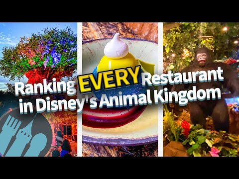 Ranking EVERY Restaurant in Disney's Animal Kingdom